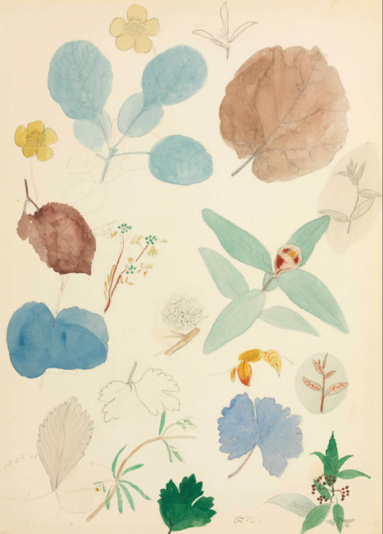 Image of Redon | carnet